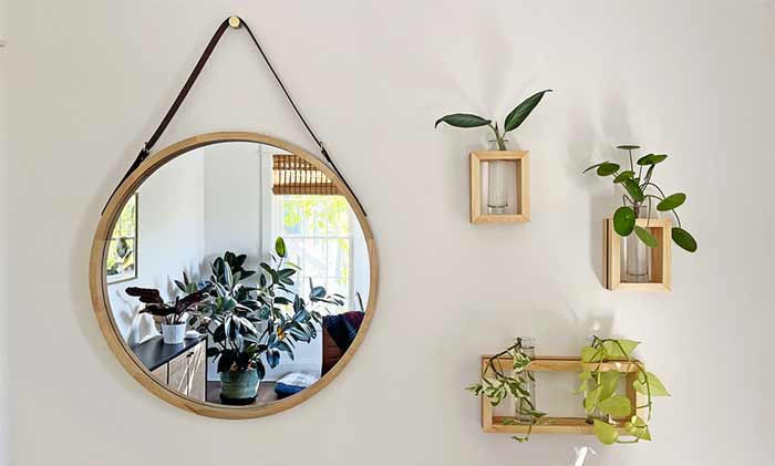 تزیین با گیاهان 