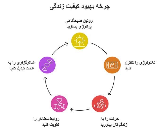اینفوگرافیک چرخه بهبود کیفیت زندگی