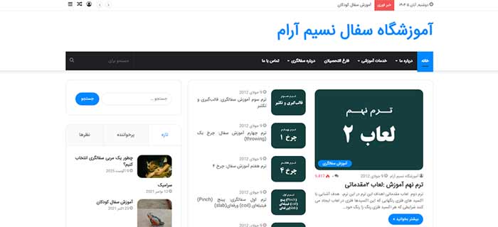 آموزشگاه هنرهای تجسمی نسیم آرام
